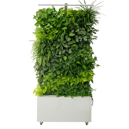 Maxgreenwall Single-Sided Unit